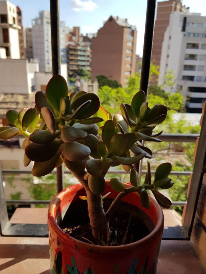 Apartamento Carlucci Córdoba Exteriér fotografie